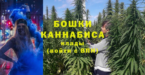 ПСИЛОЦИБИНОВЫЕ ГРИБЫ Зеленокумск