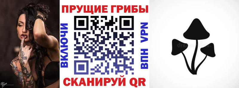 Псилоцибиновые грибы мухоморы  Лакинск 